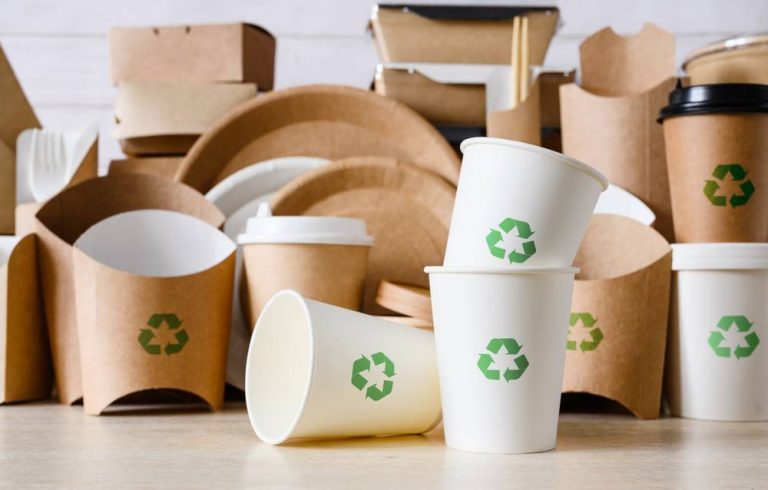 Desafíos de la implementación de productos biodegradables: obstáculos y soluciones